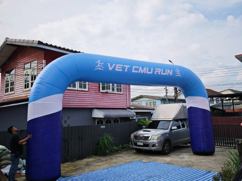 ซุ้มโค้งราคาถูก